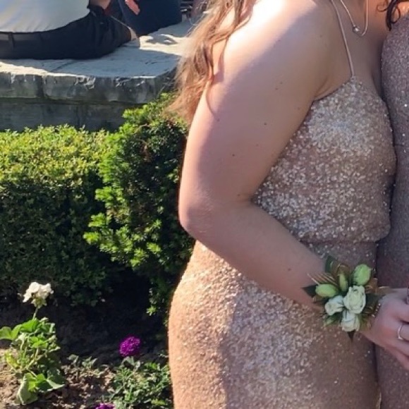 Rose Gold Long Dress - Picture 5 of 7